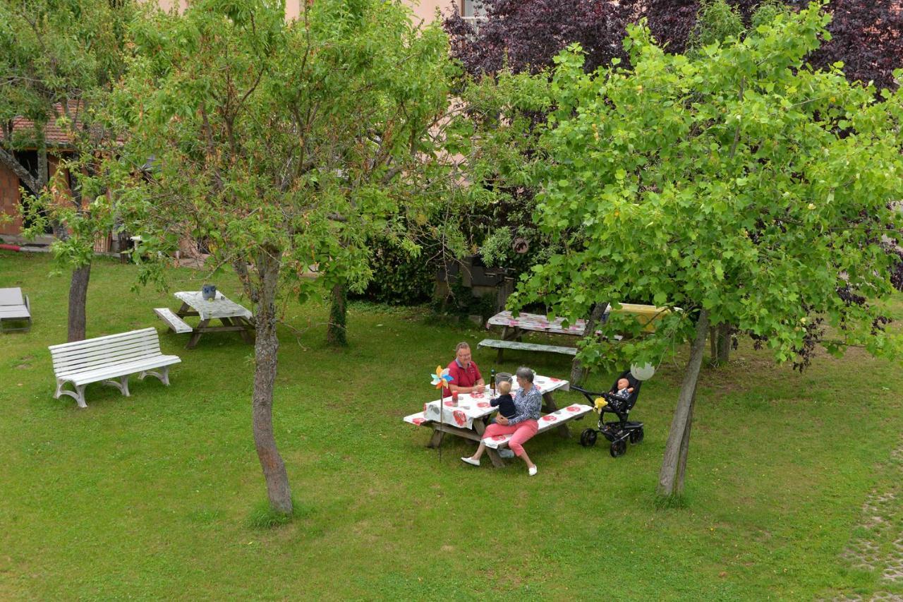 L'Eclos Des Vignes - Appartements Haut De Gamme Avec Spa Bergheim Εξωτερικό φωτογραφία